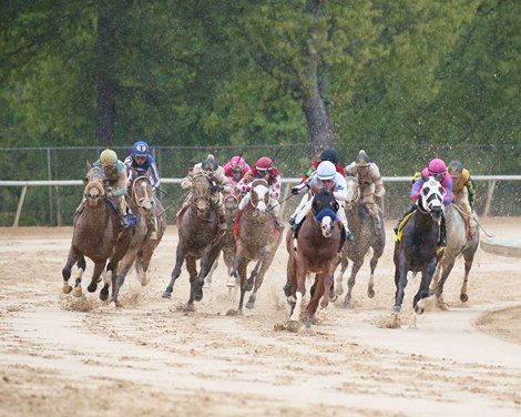 Tom&#39;s D&#39;Etat wins 2020 Oaklawn Mile at Oaklawn Park