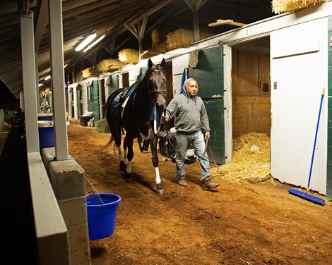 Walking shedrow before training<br><br />
Midnight Bisou at Keeneland on May 2, 2020 Keeneland in Lexington, KY. 