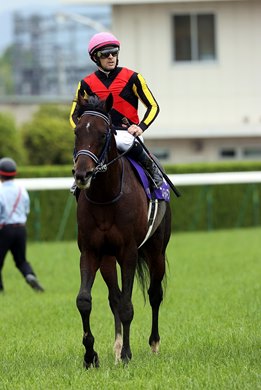 Fierement wins 2020 Tenno Sho Spring