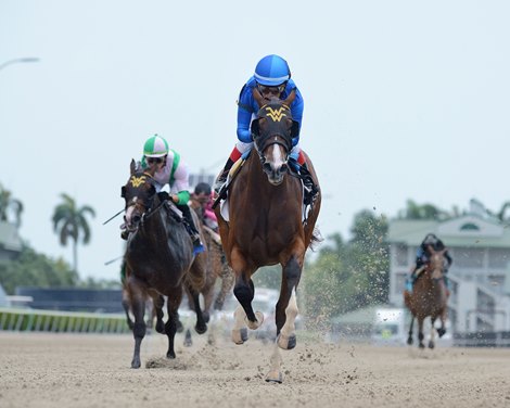 Flying Aletha Maiden Win<br><br />
Edgar Prado breaks Cordero&#39;s career win record<br><br />
Gulfstream Park, May 21, 2020                            