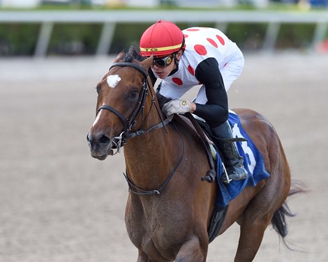 Tap It to Win wins an allowance optional claiming race Saturday, May 9, 2020 at Gulfstream Park