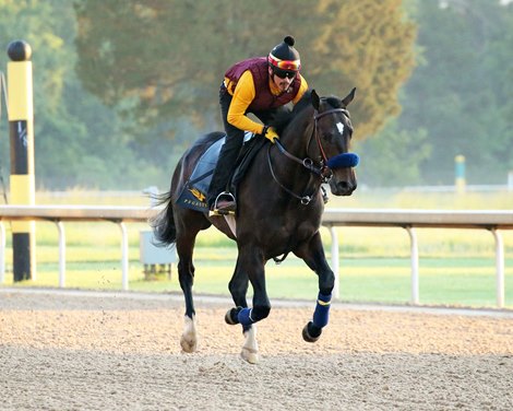 Anneau d&#39;Or - Gallop - Oaklawn Park - 050120<br><br />
