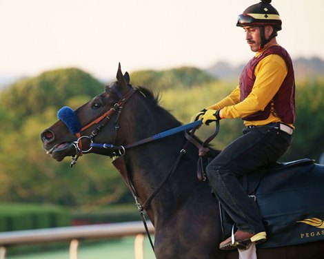 Anneau d&#39;Or - Gallop - Oaklawn Park - 050120<br><br />
