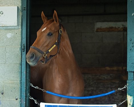 Monomoy Girl<br><br />
at Keeneland on May 2, 2020 Keeneland in Lexington, KY. 