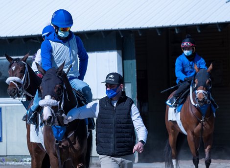 Assistant trainer Kevin Bond of Bond Racing leads horses to the main track at Belmont Park Wednesday, May 20, 2020 in Elmont, N.Y. with the exercise riders using a face masks in compliance with the safety protocols at the New York tracks Assistant trainer Kevin Bond of Bond Racing leads horses to the main track at Belmont Park Wednesday, May 20, 2020 in Elmont, N.Y. with the exercise riders using a face masks in compliance with the safety protocols at the New York tracks