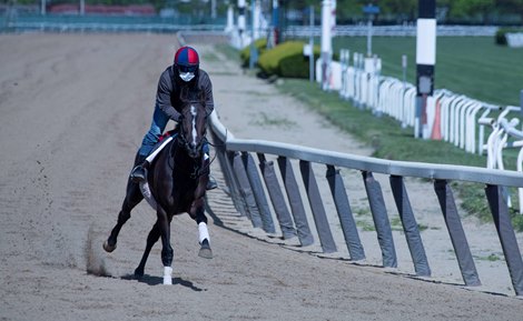 A horse gallops on the main track at Belmont Park Wednesday, May 20, 2020 in Elmont, N.Y. with the exercise rider using a face mask in compliance with the safety protocols at the New York tracks 