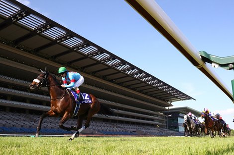 Almond Eye wins 2020 Victoria Mile