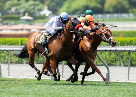 Wildman Jack and jockey Mike Smith, left, outleg Sparky Ville (Geovanni Franco), right, and Stubbins (Umberto Rispoli), inside, to win the $100,000 Daytona Stakes, Saturday, May 23, 2020 at Santa Anita Park, Arcadia CA.