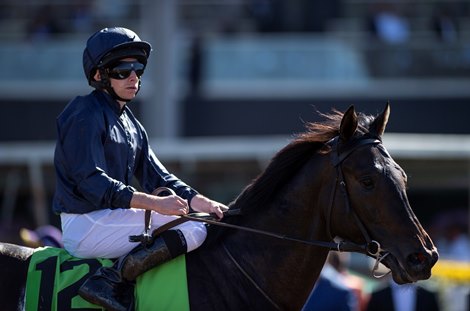 Arizona (Ryan Moore) after the Breeders&#39; Cup Juvenile Turf at Santa Anita 