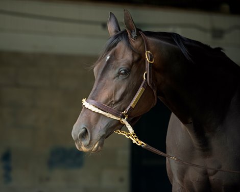 Midnight Bisou at Keeneland on May 2, 2020 Keeneland in Lexington, KY. 