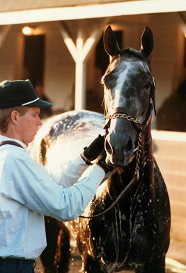 Jeff Lukas with Winning Colors, the 1988 Kentucky Derby winner with whom he was closely linked