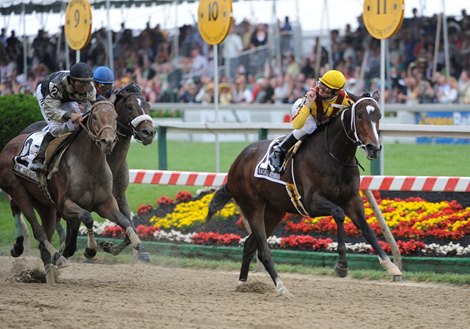 Rachel Alexandra wins the 2009 Preakness Stakes