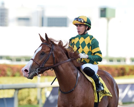 Gufo wins the 2020 English Channel Stakes at Gulfstream Park