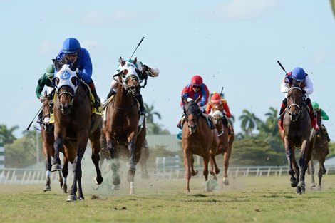 Micheline wins the 2020 Honey Ryder Stakes at Gulfstream Park                      