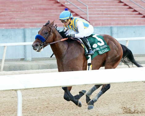 Future Uncertain for Baffert Trainees Charlatan, Nadal - Blabba.net