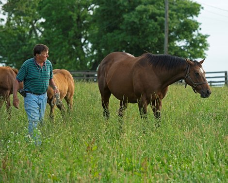 Alfred Nuckols in a field of mares and foals at Hurstland Farm near Midway, Ky.