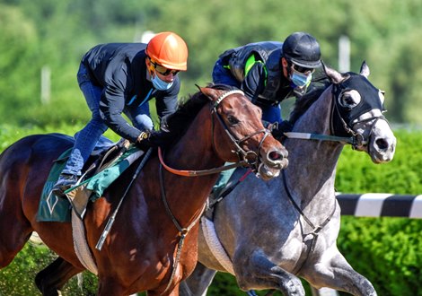 Modernist(outside) works in tandem with Tacitus Sunday June 14, 2020 in Elmont, N.Y. at the Belmont Race Course for his final speed work before the Belmont Stakes which will run next Saturday June 20th.  Photo by Skip Dickstein