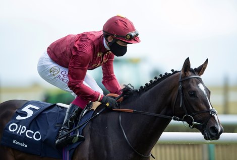 Kameko (Oisin Murphy) goes to post for the Qipco 2000 Guineas<br><br />
Newmarket 6.6.20 Pic: Edward Whitaker