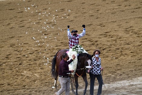 Tiz the Law wins the 2020 Belmont Stakes