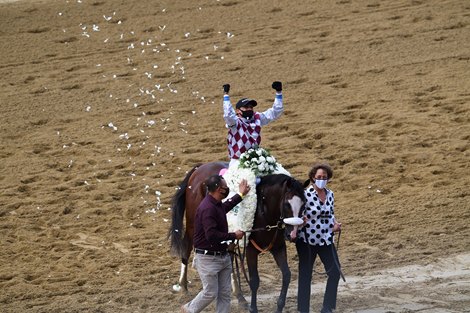 Tiz the Law wins the 2020 Belmont Stakes Tiz the Law wins the 2020 Belmont Stakes