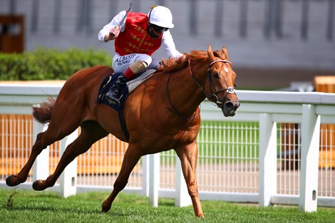 ASCOT, ENGLAND - JUNE 19: Golden Horde ridden by Adam Kirby competes in the Commonwealth Cup race during Day Four of Royal Ascot at Ascot Racecourse on June 19, 2020 in Ascot, England