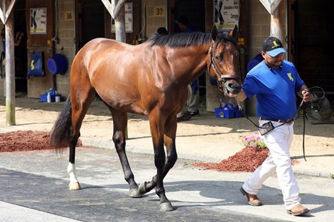 Hip 52, 2020 Fasig-Tipton Midlantic 2 Y-O-in Training Sale