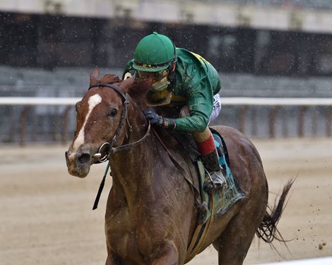 Code of Honor wins the 2020 Westchester Stakes