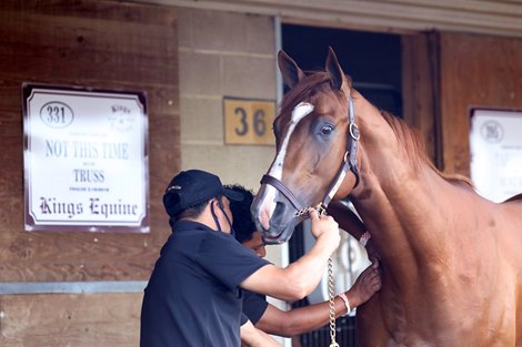 Hip 331, 2020 Fasig-Tipton Midlantic 2 Y-O-in Training Sale