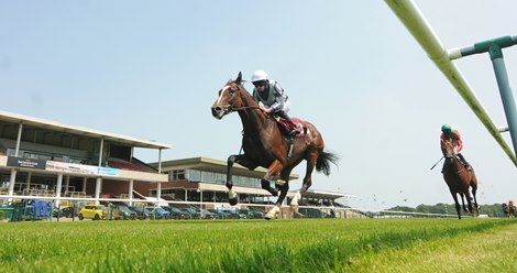 Highest Ground and Ryan Moore win the Racecourse Live Streams On Racing TV Novice Stakes at Haydock from Waldkonig. 24/6/2020