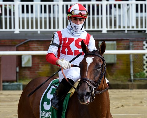 Newspaperofrecord wins the 2020 Intercontinental Stakes at Belmont Park    