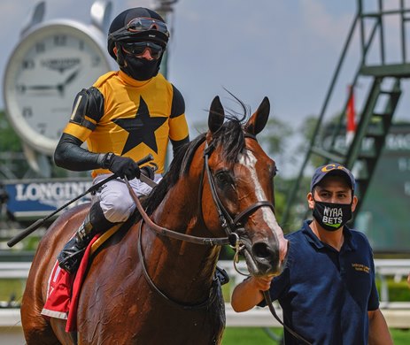 Decorated Invader after winning the Pennine Ridge at Belmont Park. 