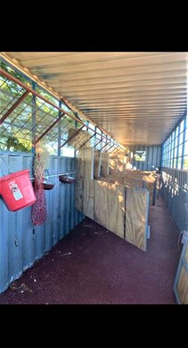 Inside a cargo shipping container used to transport horses to Puerto Rico by boat