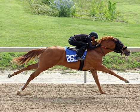 Hip 263 breezes in 10 flat, 2020 Fasig-Tipton Midlantic 2 Y-O-in Training Sale