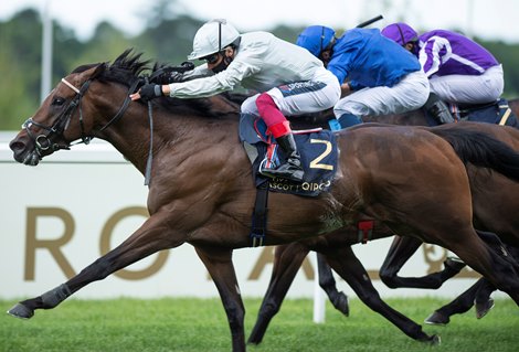 Palace Pier (Frankie Dettori,nearest) beats Pinatubo (centre) and Wichita to win the St James’s Palace Stakes<br><br />
Ascot 20.6.20