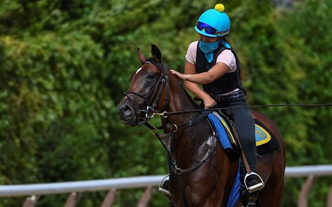 Belmont Stakes entrant Sole Volante gets a loving pat on the neck from assistant trainer Andie Biancone during an exercise session on the main track at Belmont Park Friday June 19, 2020 in Elmont, N.Y, the day before the he is to run in the 152 Belmont Stakes at the historic Big Sandy