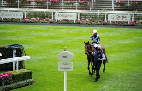 Circus Maximus (Ryan Moore ) are led into the winners enclosure after the Queen Anne Stakes<br><br />
Ascot 16.6.20