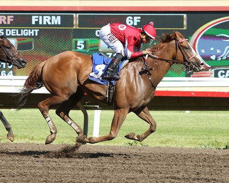 Hot Shot Kid wins 2020 10,000 Lakes Stakes at Canterbury Park