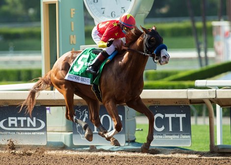 Improbable and jockey Drayden Van Dyke win the Grade I $300,000 Hollywood Gold Cup Saturday, June 6, 2020 at Santa Anita Park, Arcadia, CA.<br><br />
&#169;Benoit Photo<br><br />
