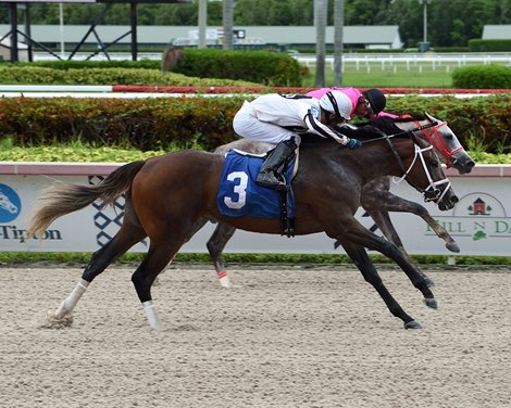 Tamiami wins 2020 Maiden at Gulfstream Park