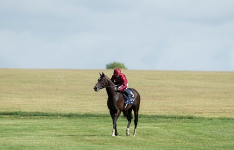 Kameko (Oisin Murphy) trots back after winning the Qipco 2000 Guineas<br><br />
Newmarket 6.6.20 Pic: Edward Whitaker