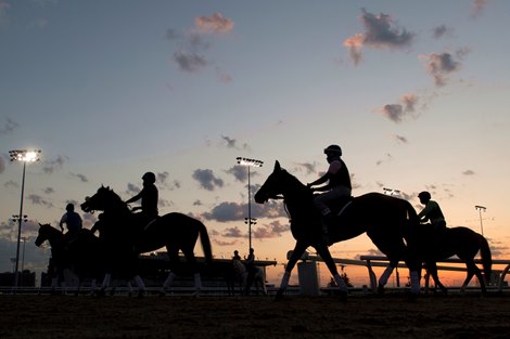 Toronto Ont.June 5, 2020.Woodbine Racetrack.Thoroughbred&#39;s return to action on Saturday June 6th, 2020 at Woodbine Racetrack without spectator