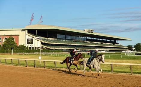Horses on the main track for morning exercise at Belmont Park June 14, 2020 in Elmont, N.Y. Photo by Skip Dickstein