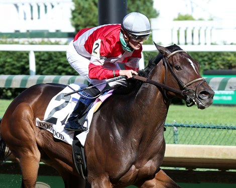 Four Graces wins 2020 Dogwood Stakes at Churchill Downs