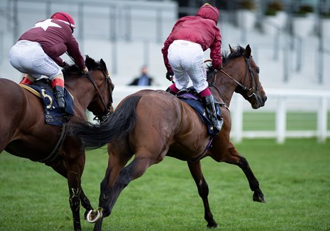 The Lir Jet (Oisin Murphy,right) collars Golden Pal in the shadow of the winning post and win the Norfolk Stakes<br>
Ascot 19.6.20
