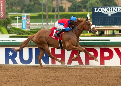 Peter J. Callahan&#39;s Swiss Skydiver and jockey Mike Smith win the G2 $200,000 Santa Anita Oaks