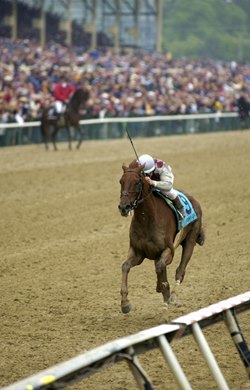 Classic winner Funny Cide, shown winning the 2003 Preakness, will be welcomed at the Kentucky Horse Park on Dec 5.