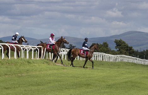Master Of Reality and Shane Crosse leads the field across the Curragh before the Comer Group International Curragh Cup (Group 2).<br><br />
The Curragh Racecourse.<br><br />
18.07.2020<br><br />
