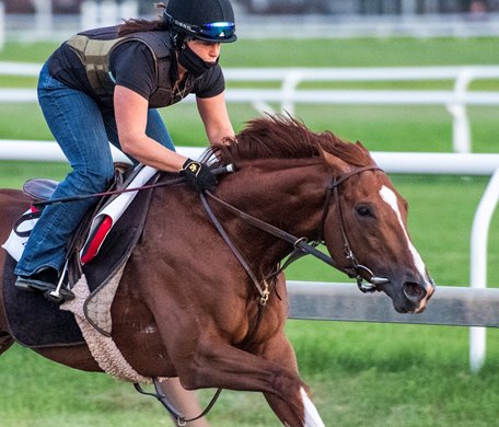 Code of Honor goes out for a breeze at the Oklahoma Training Track Monday July 27, 2020 in Saratoga Springs, N.Y.  