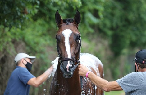 Authentic gets a bath from groom Rolando Cruz at Monmouth Park Racetrack in Oceanport, NJ on Thursday morning July 17, 2020