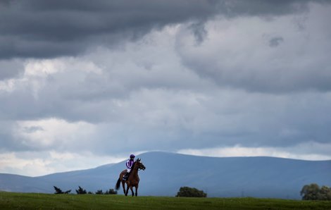 Magical and Wayne Lordan walking before winning the Tattersalls Gold Cup (Group1).<br><br />
The Curragh Racecourse.<br><br />
Photo: Patrick McCann/Racing Post 26.07.2020<br><br />
